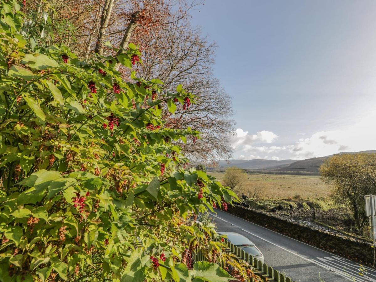 Bryn Melyn Artist'S Cottage Llanelltyd Exteriér fotografie